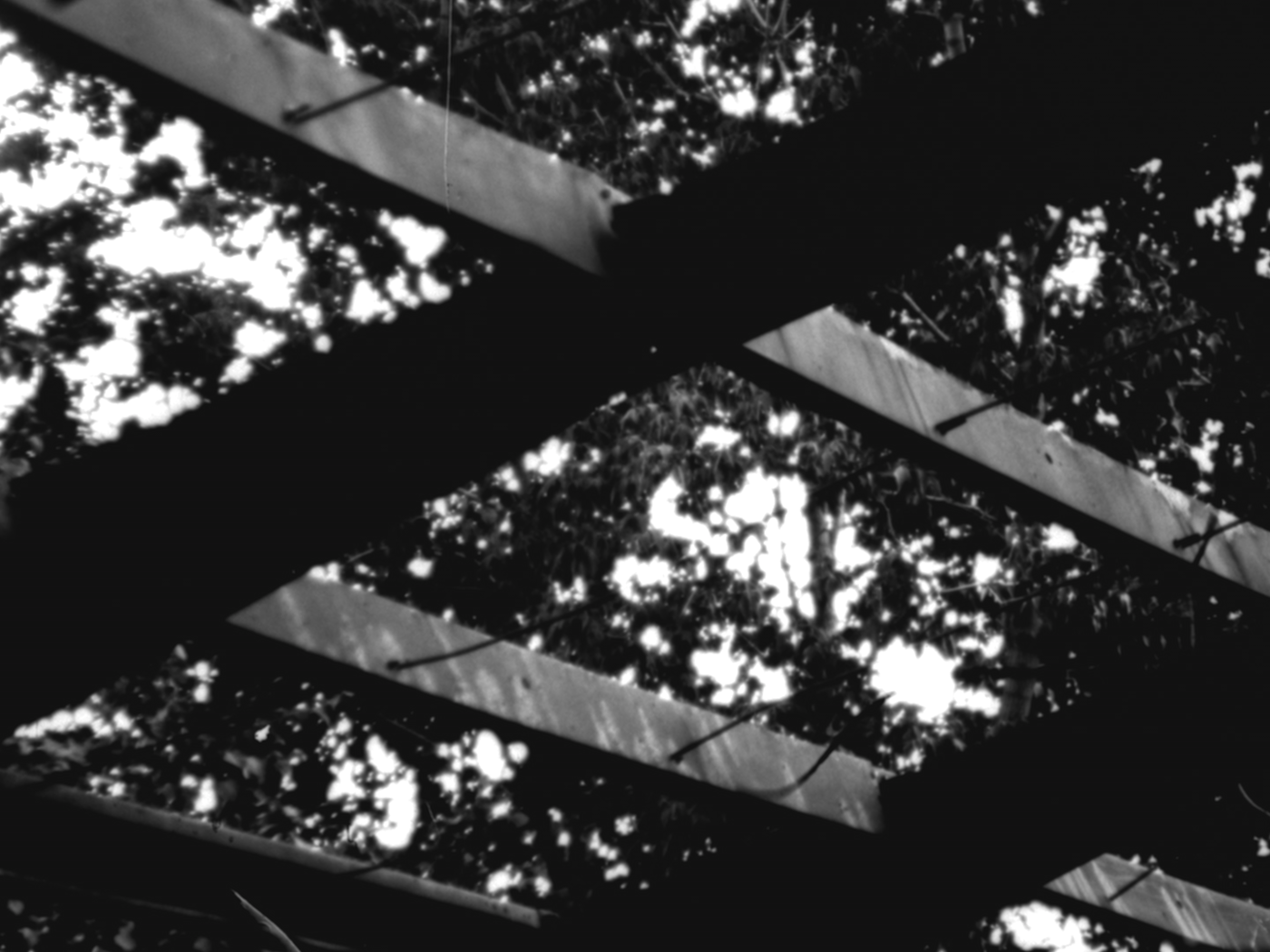 Gros plan sur une structure métallique horizontale au-dessus de laquelle on voit les feuilles d'un arbre.