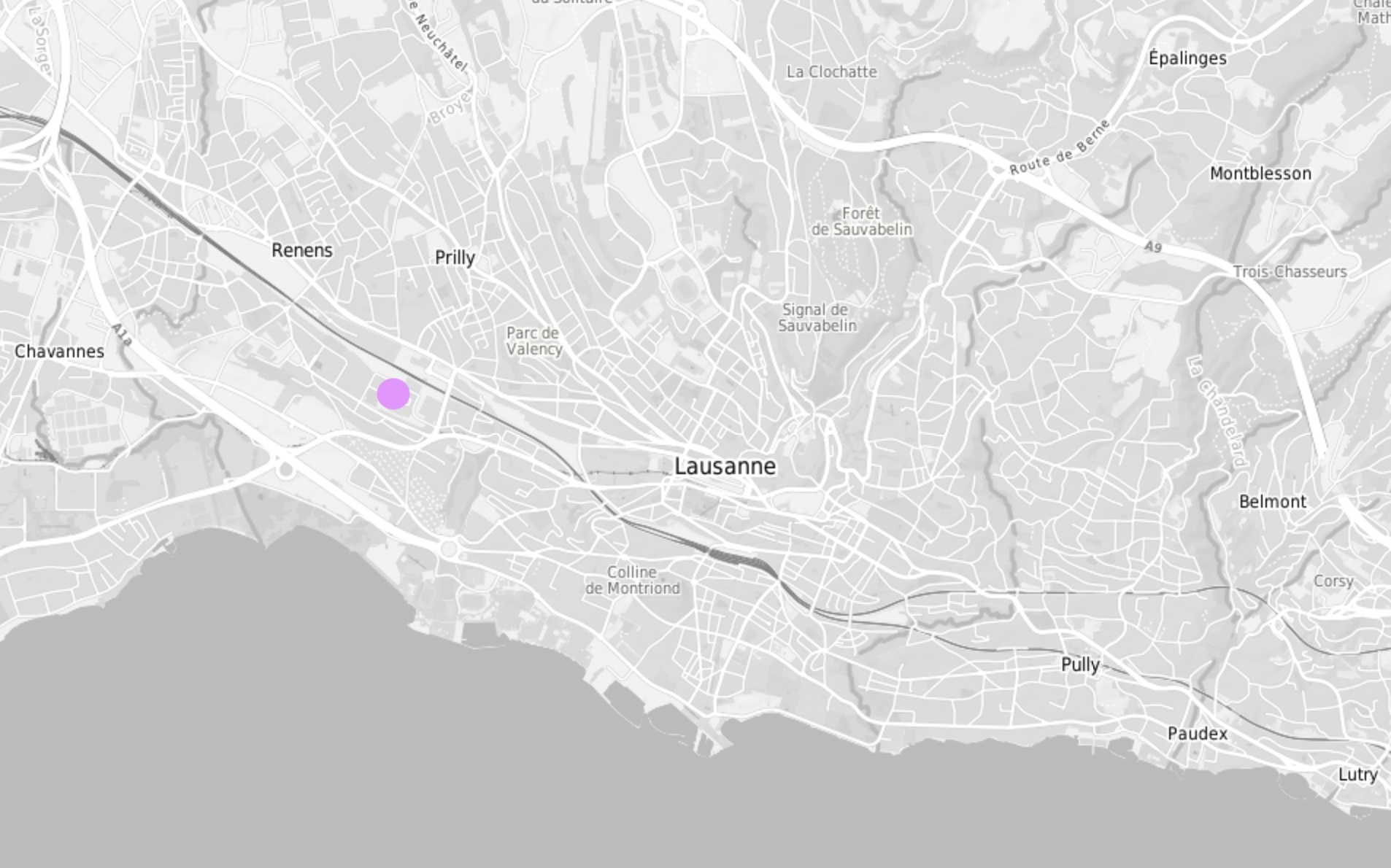 Plan en tons de gris de la région de Lausanne. La friche est indiquée par un point de couleur lilas.