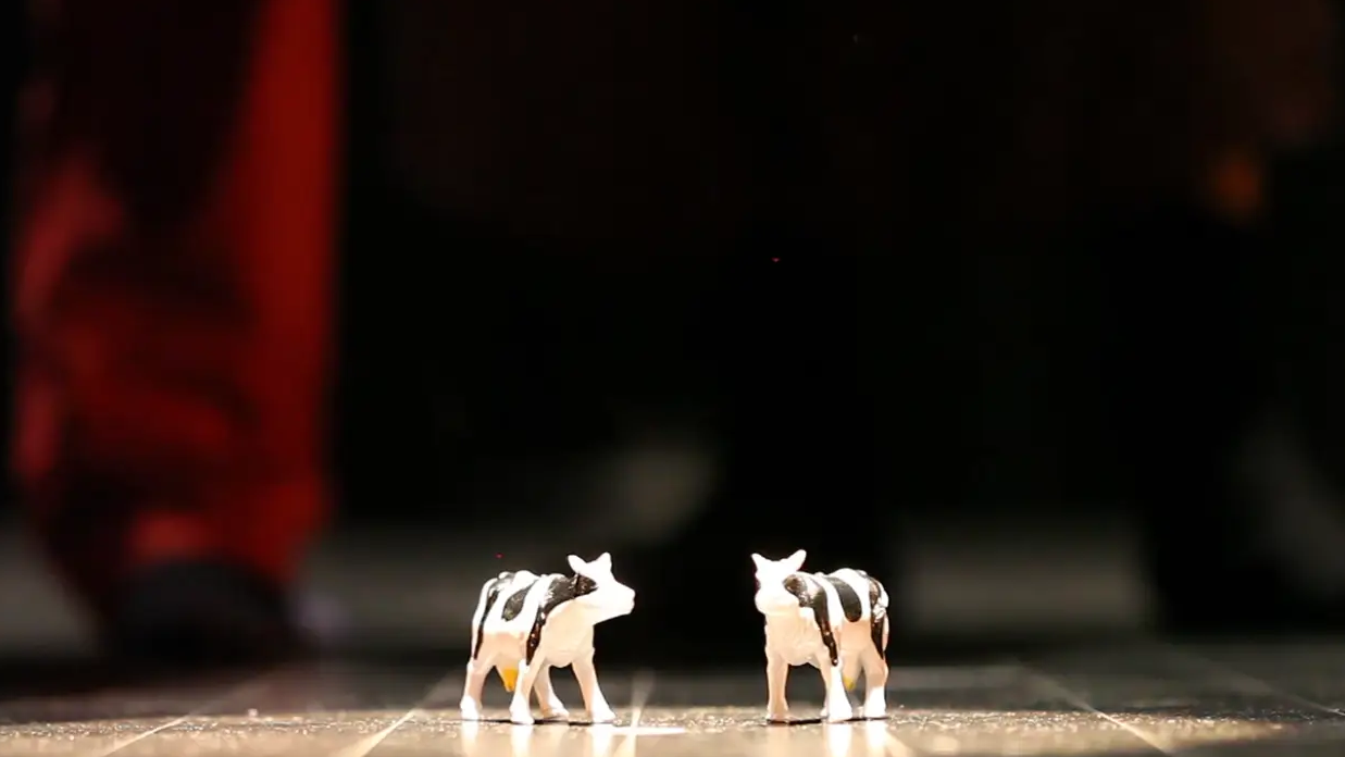 1-2_D_Montaignac_CouvVaches