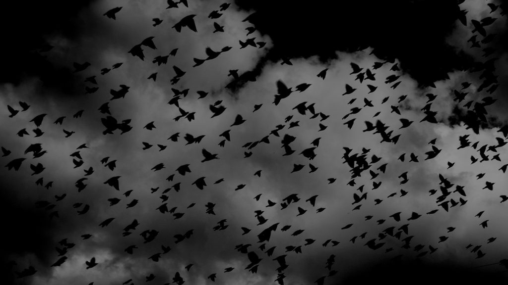 Entrer en Monologues intérieurs avec le monde