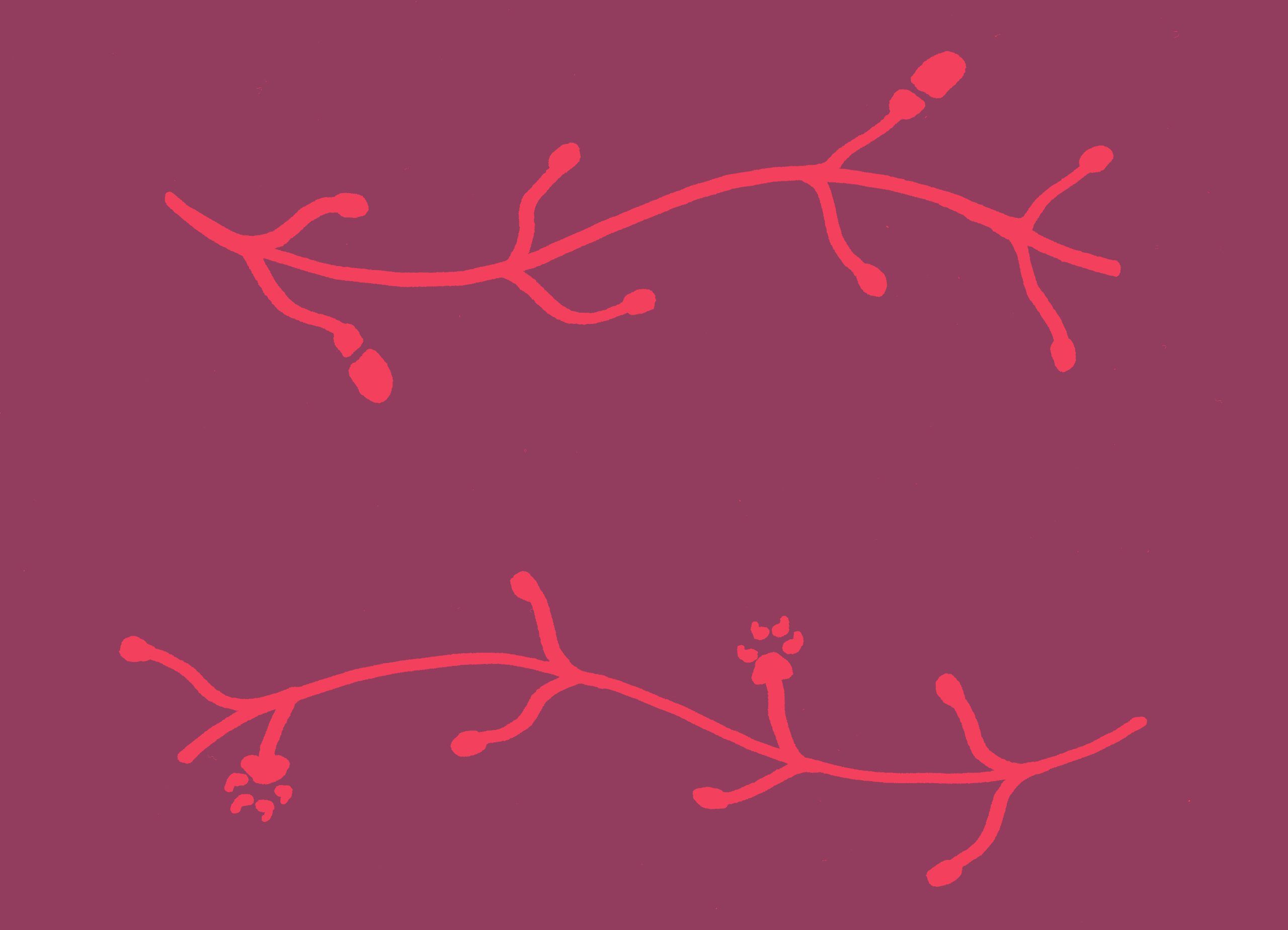 Deux branches ondulés se présentent sur un plan horizontal.