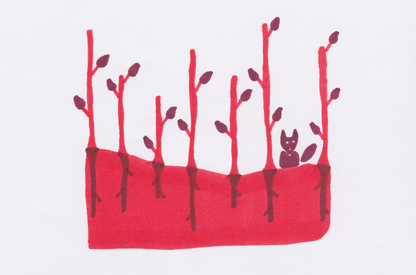 Un coyote se tient dans une forêt dont on voit les arbres, mais aussi les racines dans le sol grâce à une vue en coupe. 