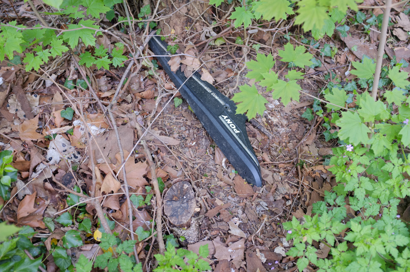 Débris sur fond de sous-bois.