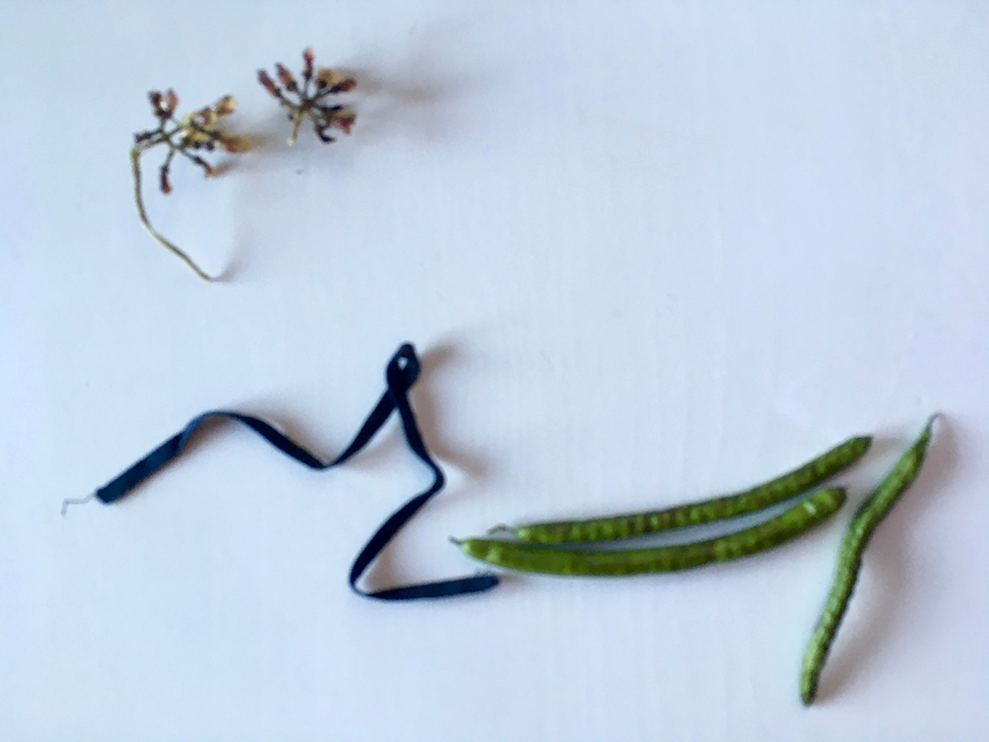 Doc_Macher_Couv_web_0