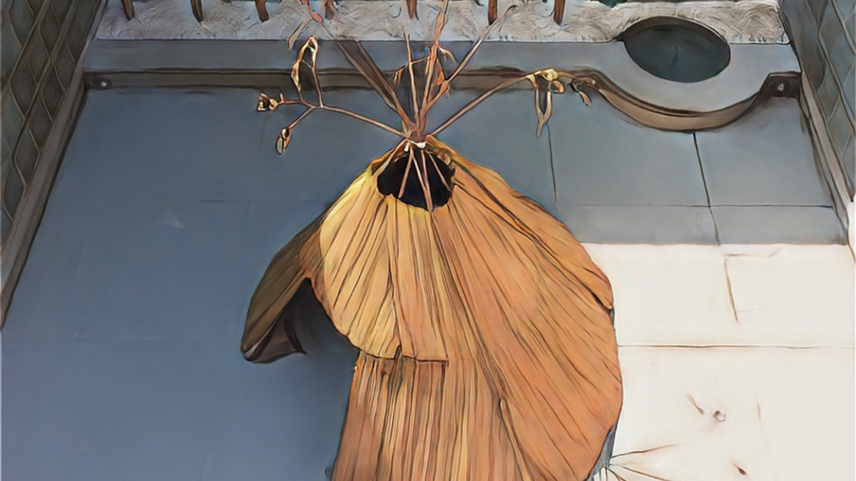 Belanger_Couverture_web_1