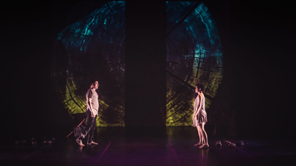 Ktahkomiq : la langue comme territoire en soi(t)