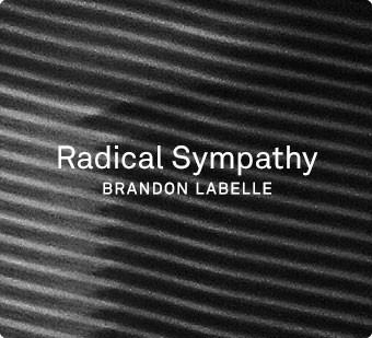 Radical Sympathy Brandon Labelle