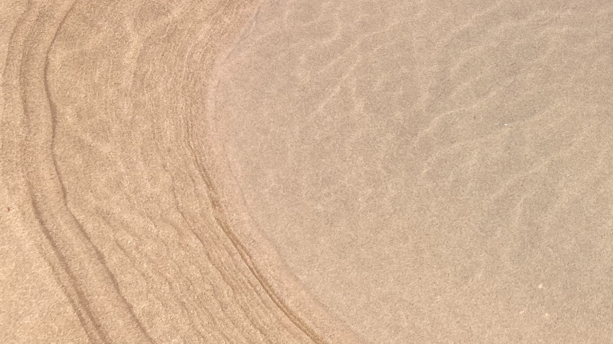 Auzolle_Couv_web_0