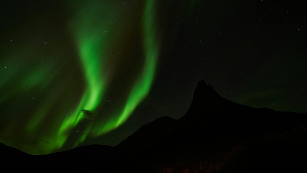 Les Corridors de Bruce Nauman&nbsp;: entre encastrement et immersion