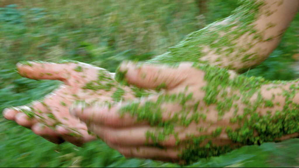 Déambulations chorégraphiques au jardin
