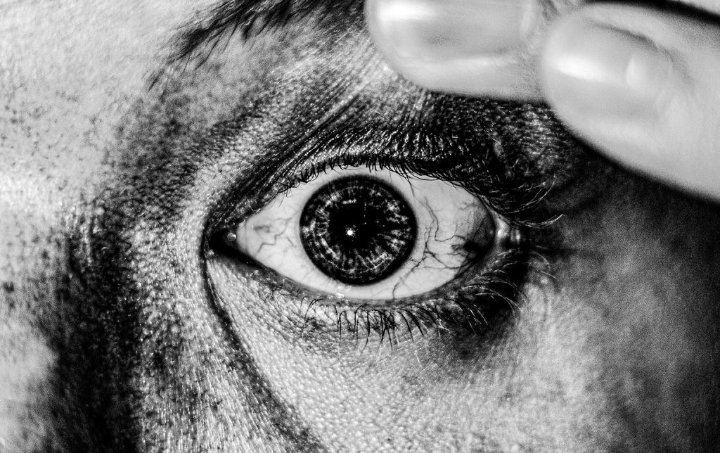 Les expériences théâtrales sont-elles reproductibles à partir de leurs traces? Le cas des Laboratoires Crête