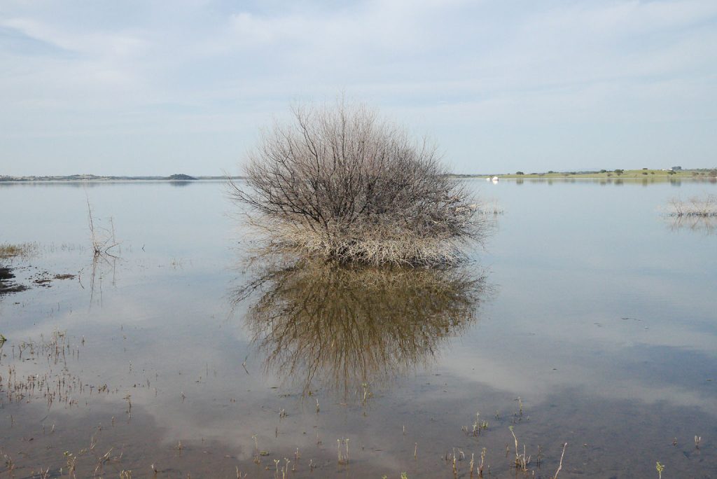 Géoscénographies de la terre et de l’eau